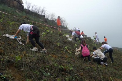 今年逾700人報(bào)名參加，為一幅去年被山火燒去大范圍林木的山坡種植約6,000棵樹(shù)苗。